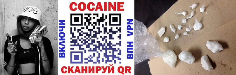 Купить закладки  Вилючинск  Кокаин FishScale 