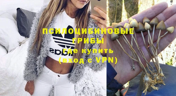 прущая мука Зеленодольск