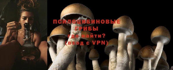 a pvp Зеленокумск