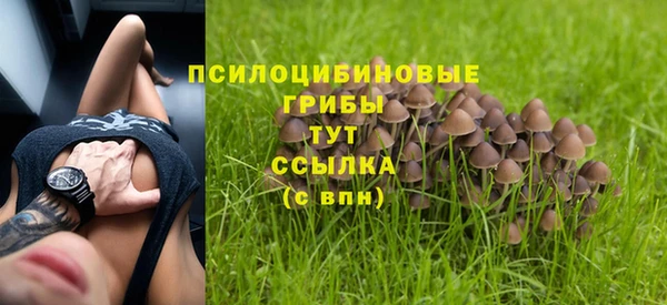 a pvp Зеленокумск