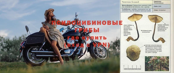 винт Инта