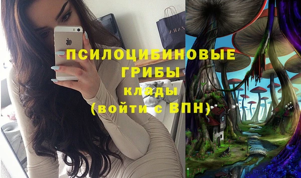 прущая мука Зеленодольск